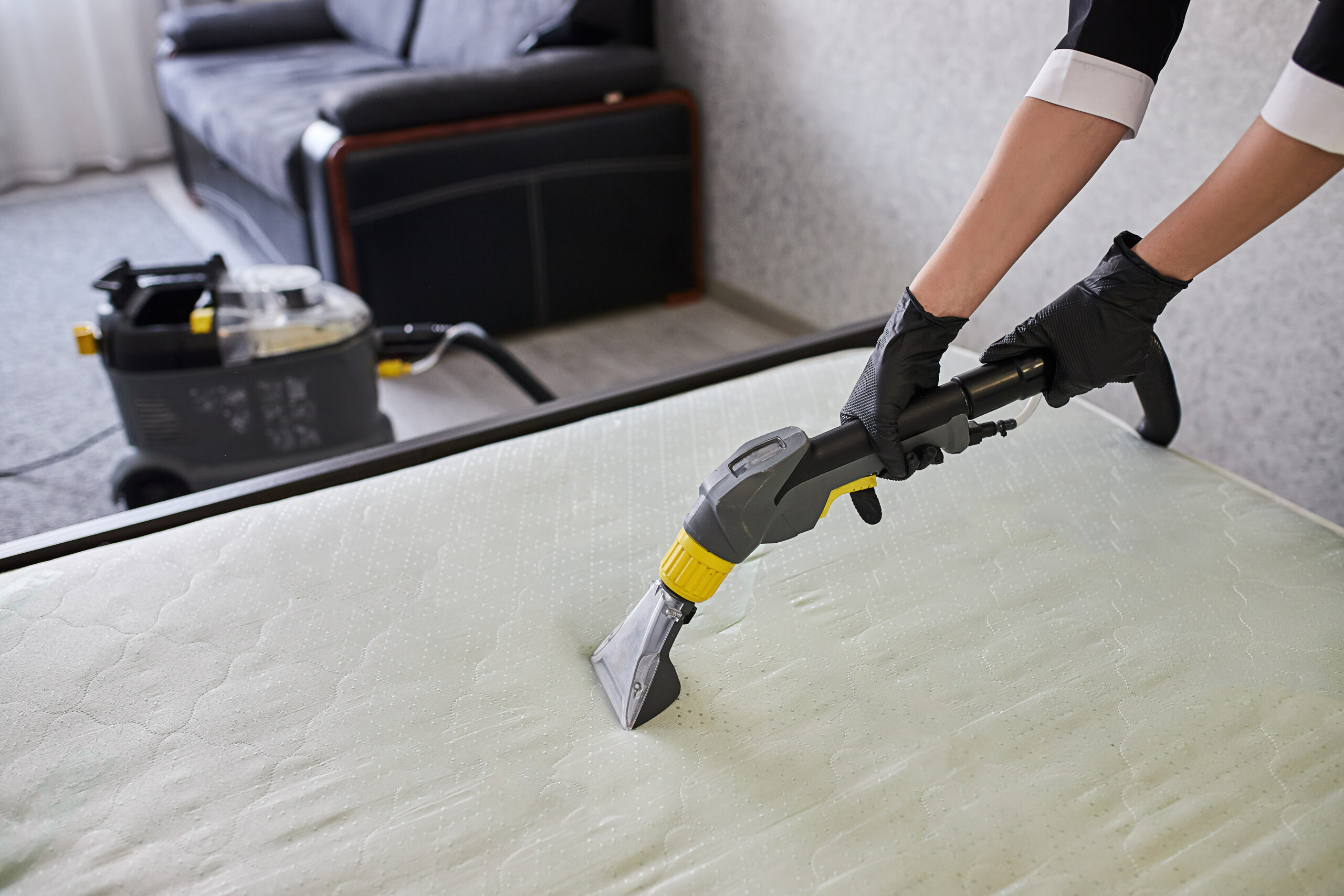 Mattress Cleaning Company